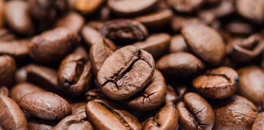 A year of roasting and ready to scale up. | Clout Coffee Blog